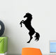 Black Horse Silhouette 5