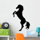Black Horse Silhouette 5