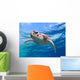 face close up of a green sea turtle Wall Mural