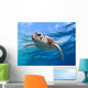 face close up of a green sea turtle Wall Mural