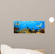 Underwater Panorama Tropical Reef