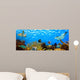 Underwater Panorama Tropical Reef