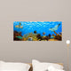 Underwater Panorama Tropical Reef