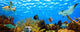 Underwater Panorama Tropical Reef
