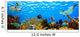 Underwater Panorama Tropical Reef