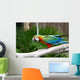 An Image of a Colorful Parrot Wall Mural