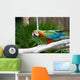 An Image of a Colorful Parrot Wall Mural
