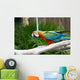 An Image of a Colorful Parrot Wall Mural