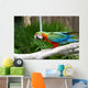 An Image of a Colorful Parrot Wall Mural