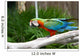 An Image of a Colorful Parrot Wall Mural