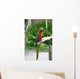 Image Colorful Parrot