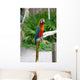 Image Colorful Parrot
