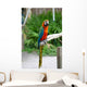 Image Colorful Parrot