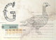 Vintage Alphabet over Retro