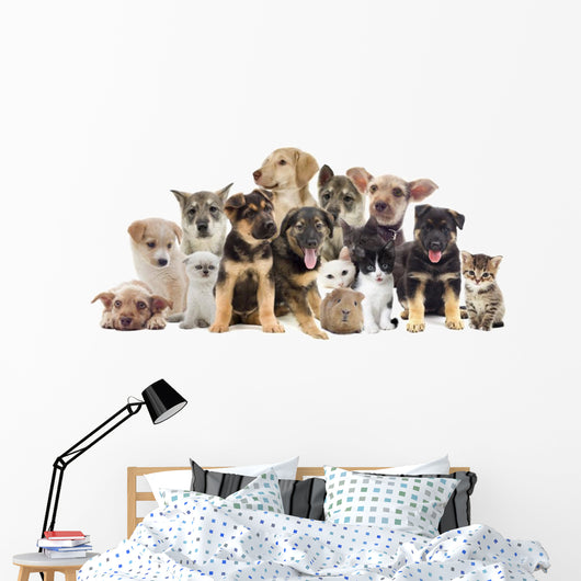 Set Pets