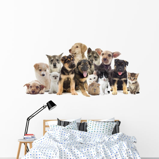 Set Pets