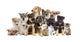 Set Pets
