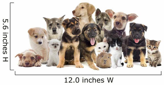 Set Pets