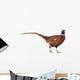 Pheasant Wall Decal