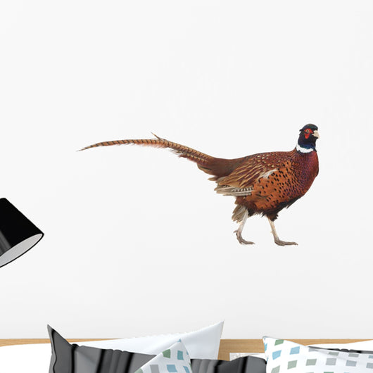Pheasant Wall Decal