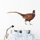 Pheasant Wall Decal