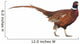 Pheasant Wall Decal