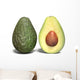 half whole avocado Wall Decal