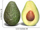half whole avocado Wall Decal