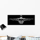 Healthy Muscular Man with