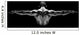 Healthy Muscular Man with