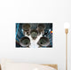Apollo Saturn V Rocket Wall Mural