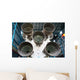 Apollo Saturn V Rocket Wall Mural