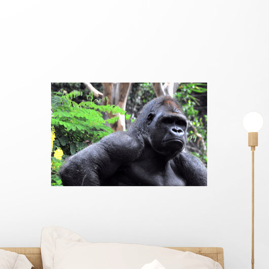 Gorilla Wall Mural