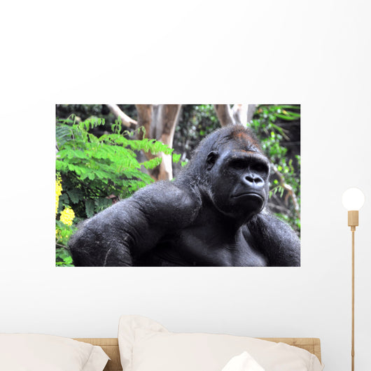 Gorilla Wall Mural