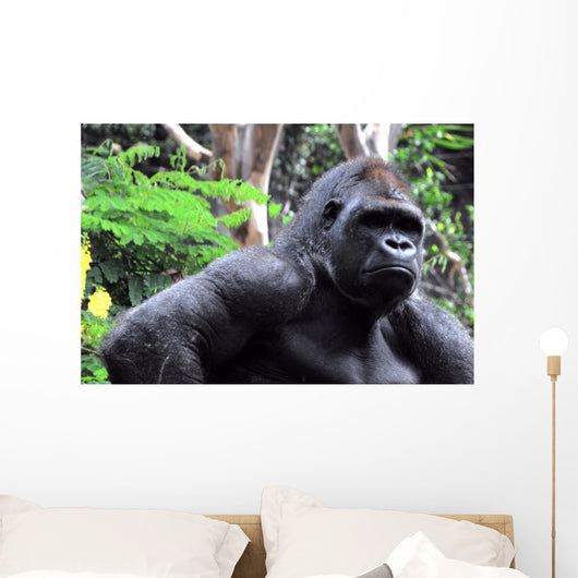 Gorilla Wall Mural
