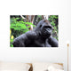 Gorilla Wall Mural