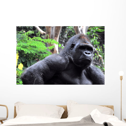 Gorilla Wall Mural