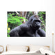 Gorilla Wall Mural
