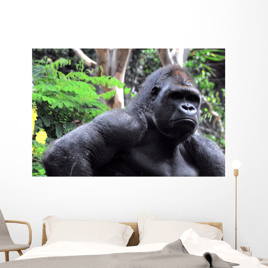 Gorilla Wall Mural