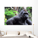 Gorilla Wall Mural