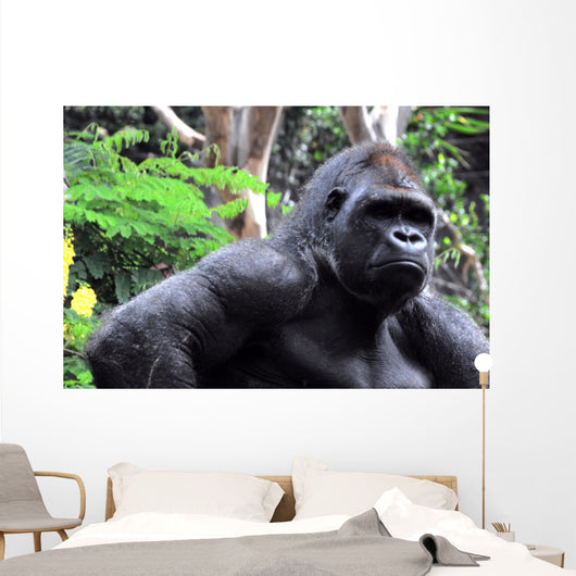 Gorilla Wall Mural