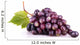 Ripe Red Grapes with