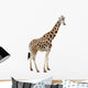 Giraffe Wall Decal