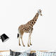 Giraffe Wall Decal