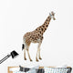Giraffe Wall Decal