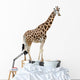 Giraffe Wall Decal