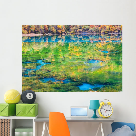 colorful autumn in jiuzhaigou Wall Mural