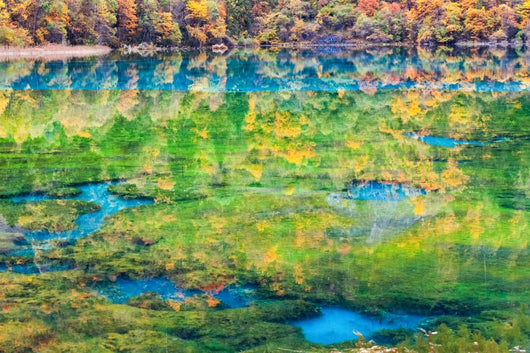 colorful autumn in jiuzhaigou Wall Mural