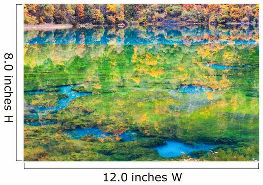 colorful autumn in jiuzhaigou Wall Mural