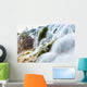 jiuzhaigou waterfall in autumn Wall Mural